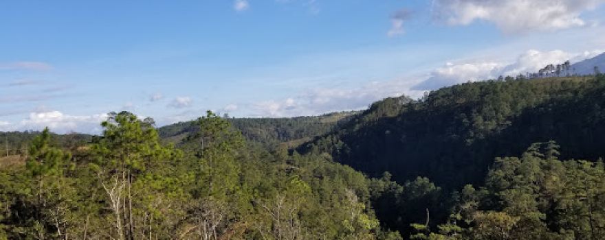 Poza Azul