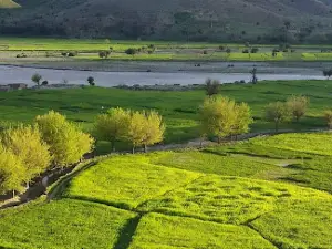 Bannu Cantt