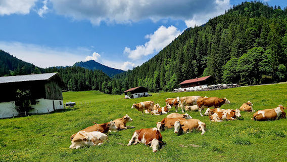 Röthelmoos Nature Reserve