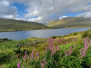 Killary Harbour