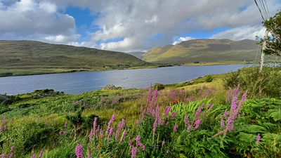 Killary Harbour