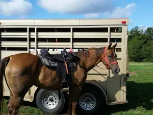 T. Ed Garrison Arena
