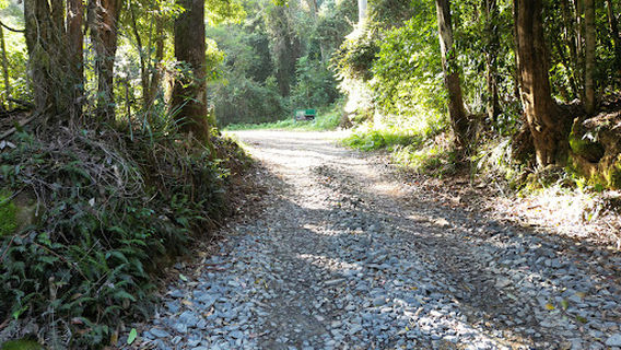 Currawong Campground