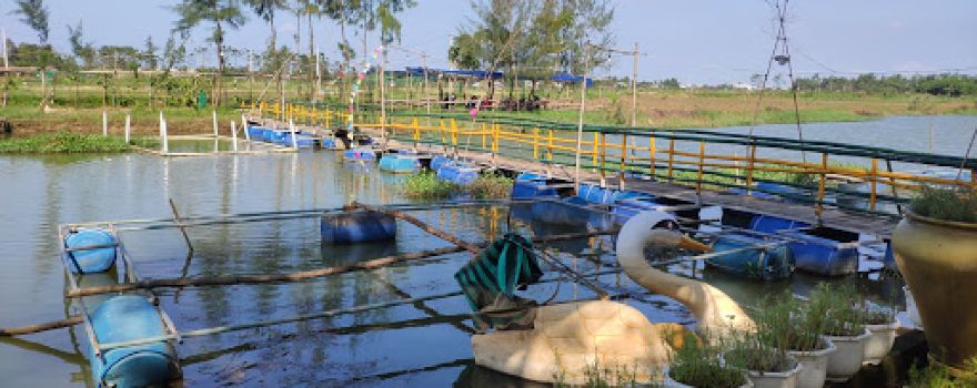 Khu Du Lịch Sinh Thái Kim Bồng