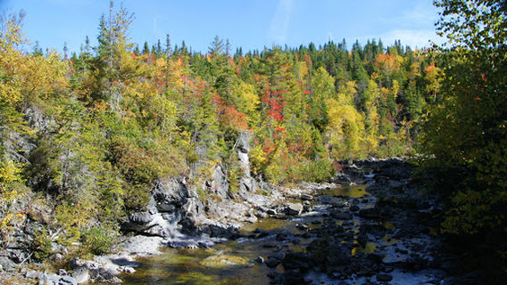 Corner Brook Stream Trail (Ginger Route south)