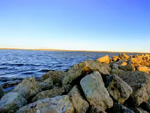 Emiquon Nature Preserve