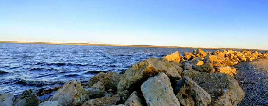 Emiquon Nature Preserve
