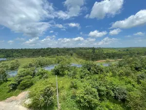 Safari Park Lake