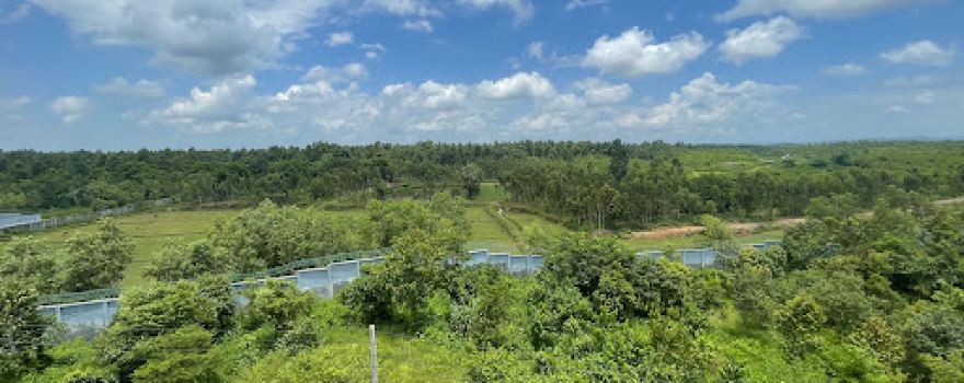 Safari Park Lake