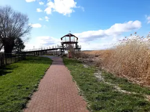 Sailors' Avenue