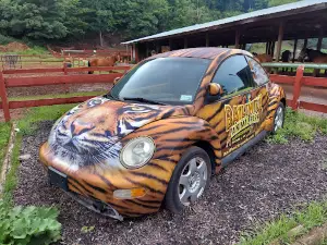 Bailiwick Animal Park and Riding Stables