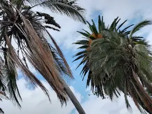 Antonio José de Sucre Park
