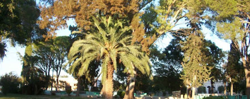 Plaza 25 de Mayo