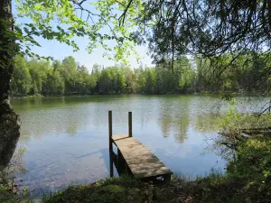 Ski-kwe zaag'igan (Squaw Lake) State Forest Campground