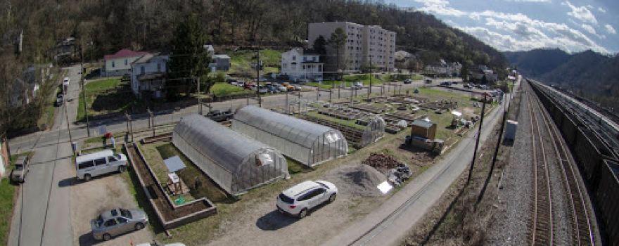 Ramella Park Community Garden of Eatin'