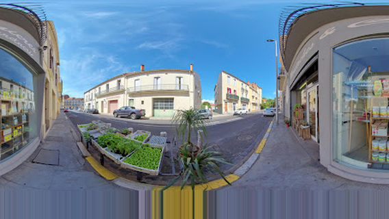 MOUSTACHES & CRINIERES JARDINERIE