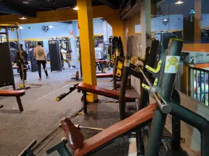 Robust Fitness Parasia