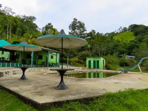 sombrilla verde caracolí antioquia