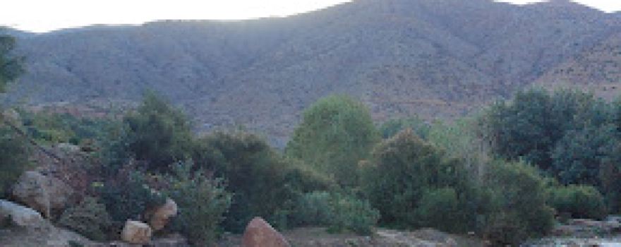 AGADIR WAMSA- ⴰⴳⴰⴷⵉⵔ ⵡⴰⵎⵙⴰ