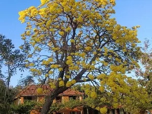 Patalkot