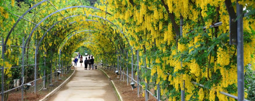 Hasama Nature Observation Park
