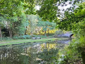 Norton Priory Walled Garden