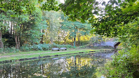 Norton Priory Walled Garden