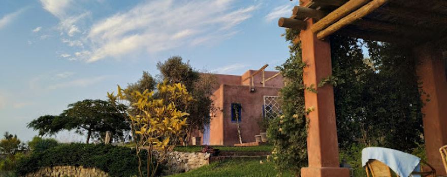 ex hacienda san regis
