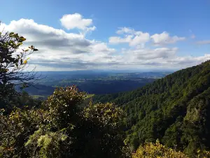 Ruahine Forest Park