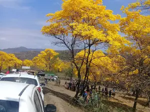 Parque De La Madre