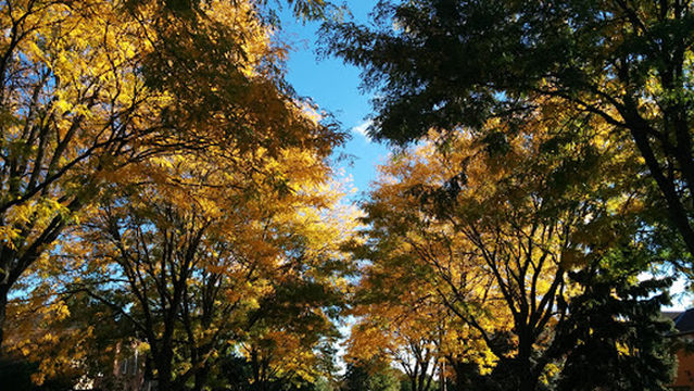 Credit Pointe Village