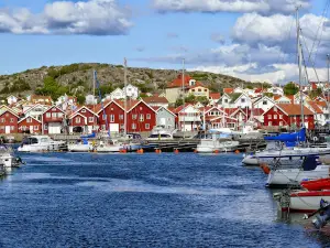 Tjörn