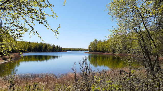 Talkeetna Lakes Trailhead