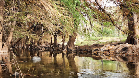 River Park