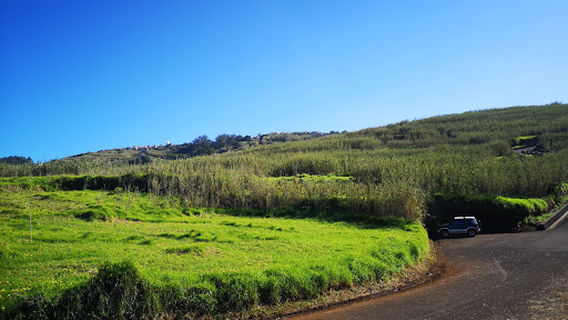 Ponta do Tristão