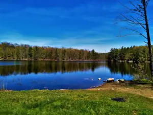 Pine Hill Park
