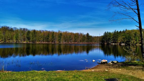 Pine Hill Park