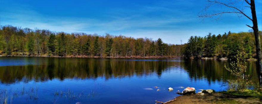 Pine Hill Park