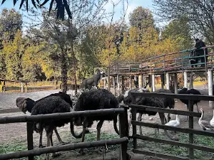 Safari Park