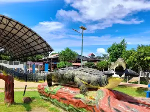 Mirador Puerto Nariño