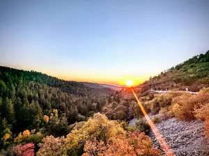 Trestle Vista Observation Site+bridge