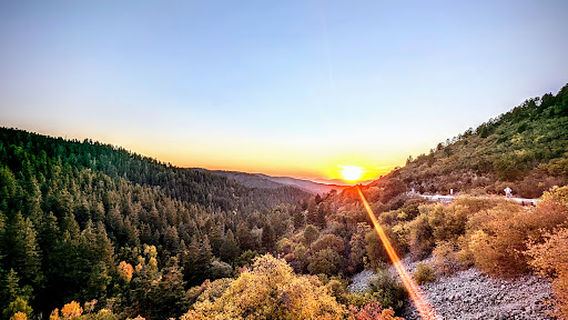 Trestle Vista Observation Site+bridge