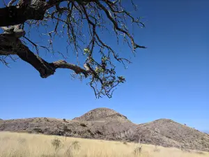 Dripping Springs
