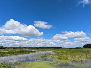 Carlos Avery State Wildlife Management Area