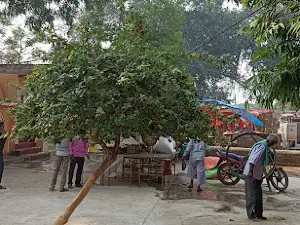 Brahamdev Temple Papad