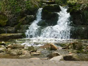 Buttermilk Falls Trailhead