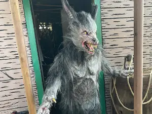 Wicked Woods Of Terror Haunted Trail