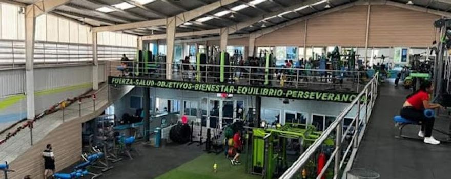 Gimnasio Vida