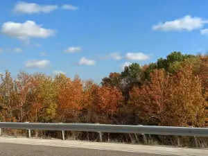 Big Muddy National Fish And Wildlife Refuge