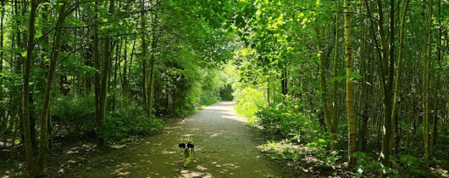 Hundepark, Brøndbyskoven
